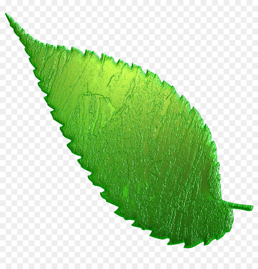 Зеленые листочки