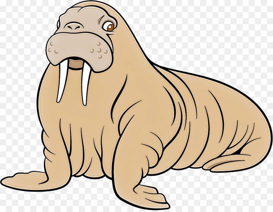 walrus seal california sea lion cartoon animal figure